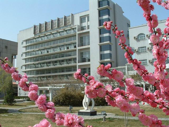 嗯啊男人操女人免费的